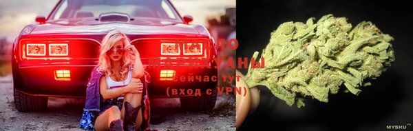 прущая мука Богородицк