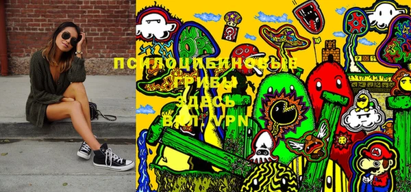 прущие крисы Бородино