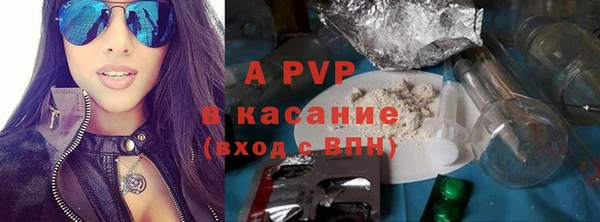 прущие крисы Бородино
