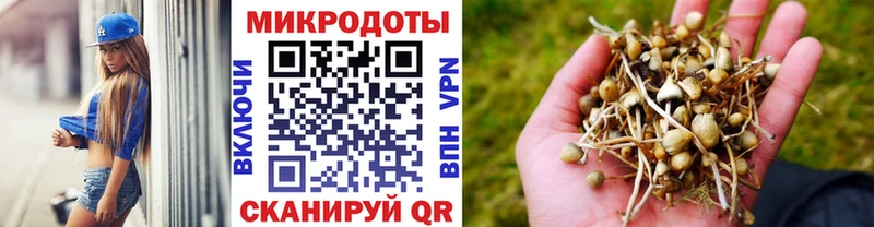 mega зеркало  Высоковск  Псилоцибиновые грибы Psilocybine cubensis 